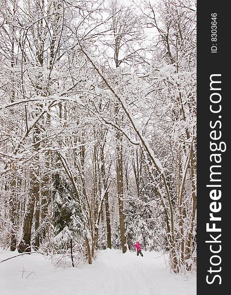 5 year old girl cross-country skiing in a beautiful winter forest. 5 year old girl cross-country skiing in a beautiful winter forest