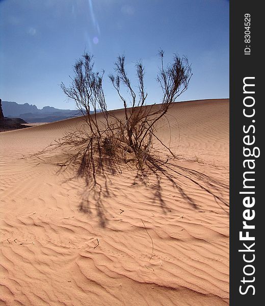 Desert landscape in the Jordan