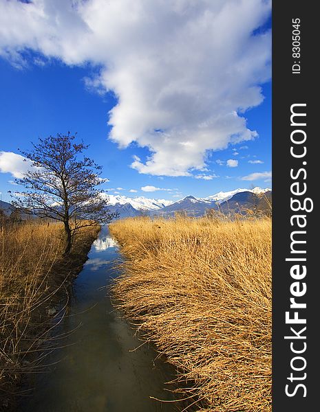 Reed channel and cloudy sky