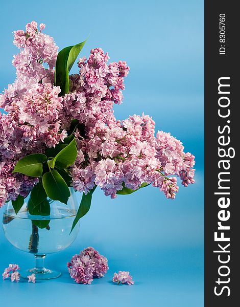 Bouquet of lilac in a transparent vase