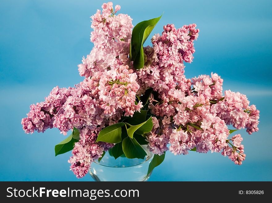 Bouquet of lilac in a transparent vase