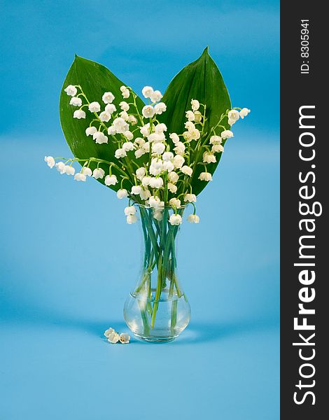 Lily of the valley in a transparent vase