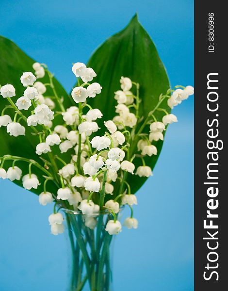 Lily of the valley in a transparent vase