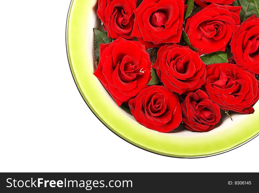 Red roses in green ring on white background