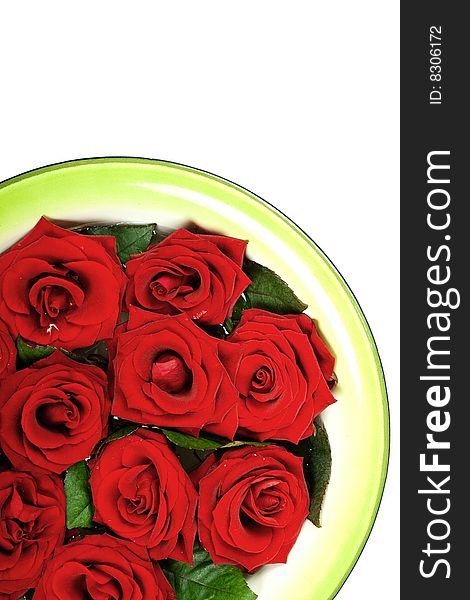 Red roses in green ring on white background