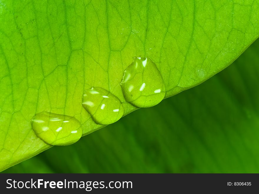 Green sheet background with raindrops. close up