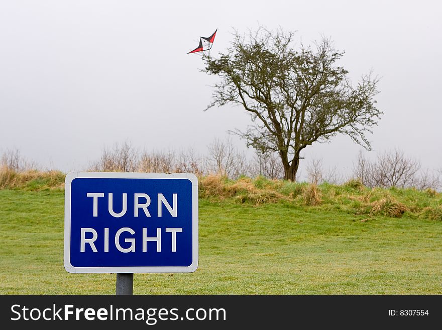 Sign saying turn right and behind in the background a kite is stuck in a tree