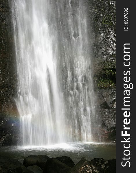 Photo of Monoa Falls in Hawaii