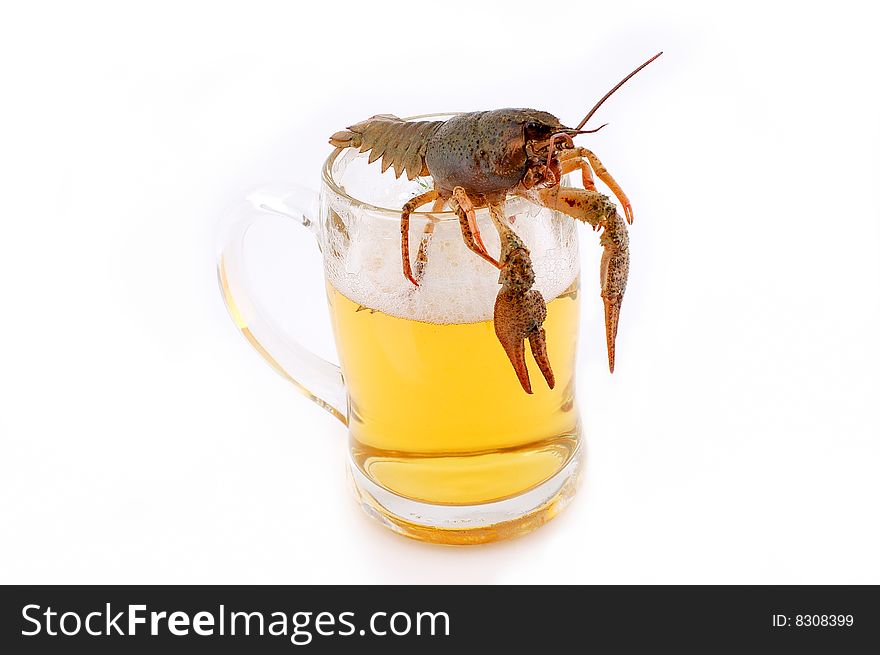 Lobster on a mug with beer on a white background. Lobster on a mug with beer on a white background