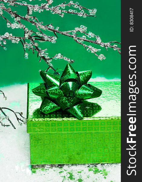 Green gift box and branch of winter tree