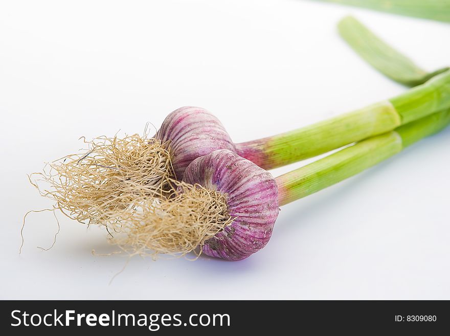 Two heads of garlic on white background. Two heads of garlic on white background