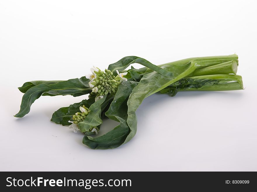 Bunch of Chinese broccoli on white background. Bunch of Chinese broccoli on white background