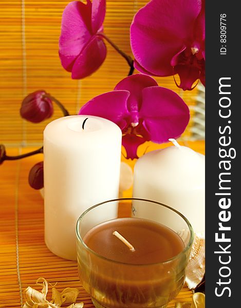 Orchids, candles and shells, spa concept. Orchids, candles and shells, spa concept