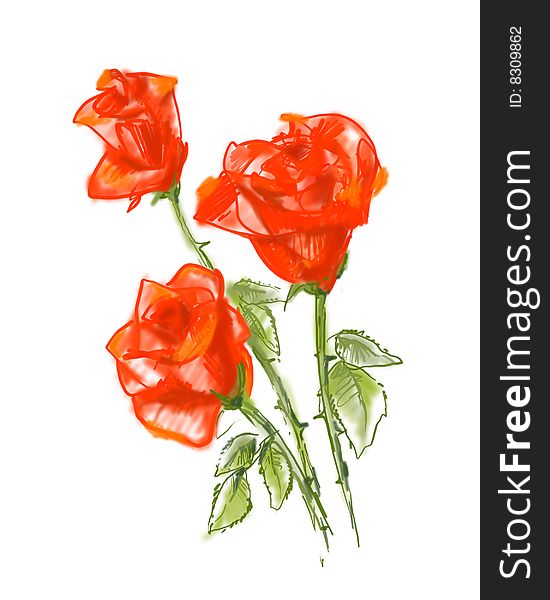 Three Red Roses On White Background.