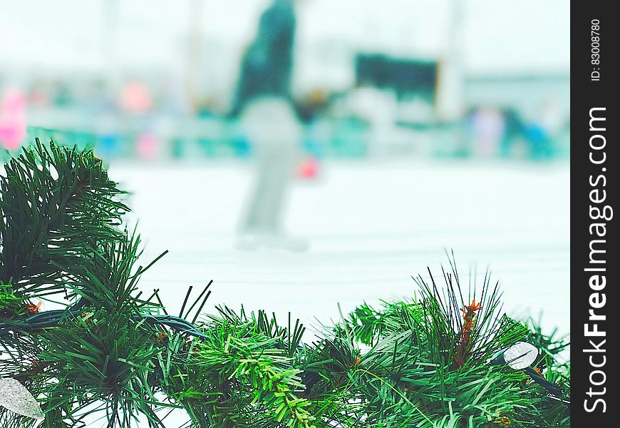 Closeup of Christmas garland on rail inside ice rink. Closeup of Christmas garland on rail inside ice rink.