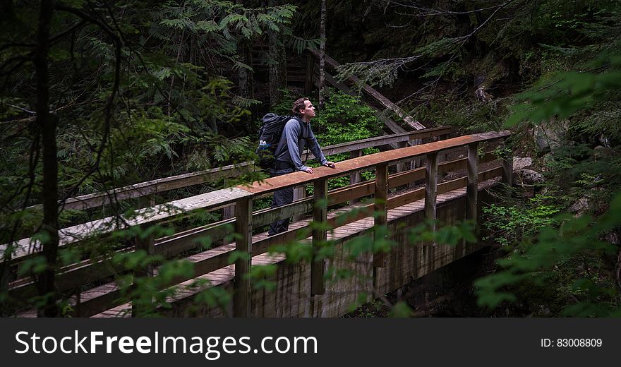 Hiker standing on wooden bridge in forest on sunny day. Hiker standing on wooden bridge in forest on sunny day.