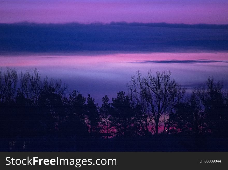 Sunset in purple skies over trees in countryside. Sunset in purple skies over trees in countryside.