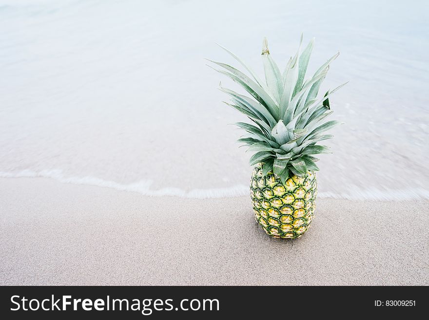 Pineapple Fruit on Shore