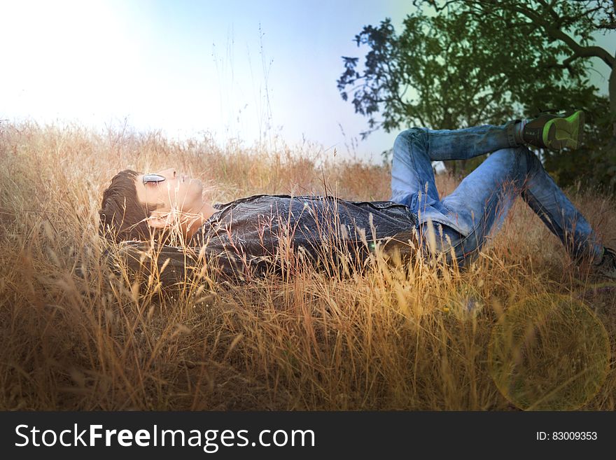 Man laying in golden grasses in sunny field. Man laying in golden grasses in sunny field.