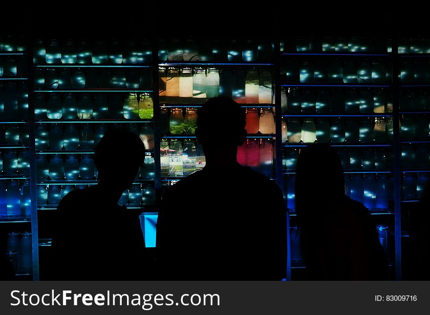 Silhouette of people standing in front of panel of lights.
