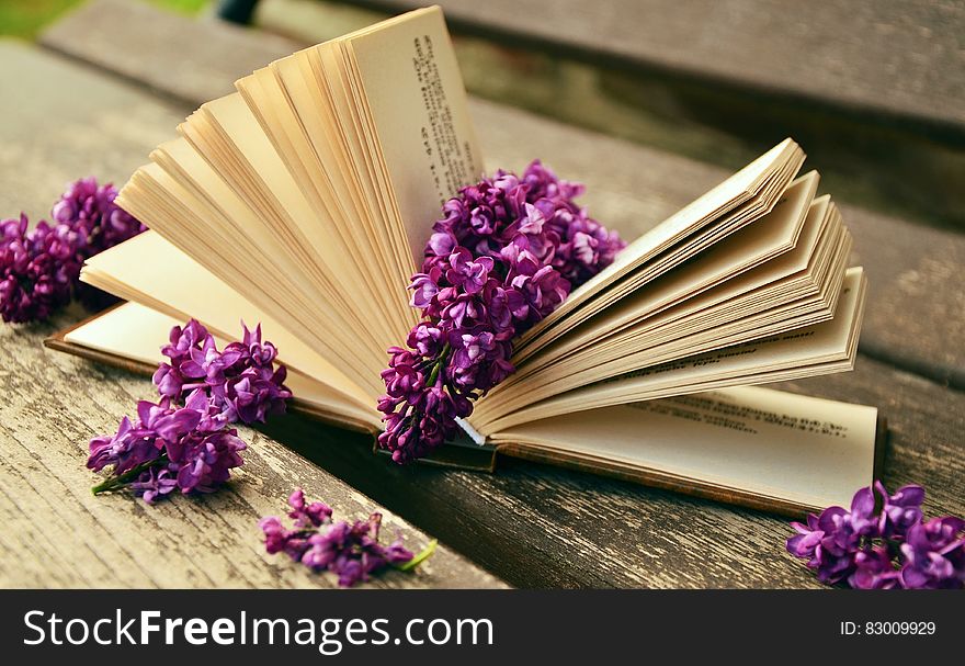 Lilac flowers scattered on open pages of book lying on wooden bench outdoors. Lilac flowers scattered on open pages of book lying on wooden bench outdoors.