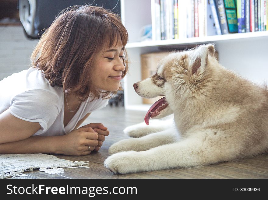 Young woman playing with husky dog