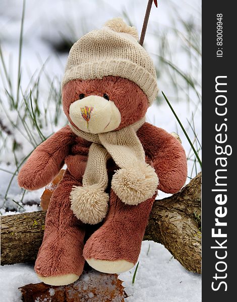 Beige and Brown Bear Plush Toy on Brown Branch during Day Time