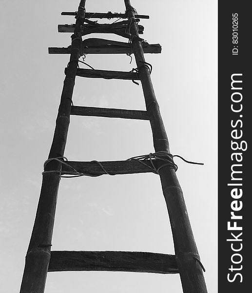 Black Bamboo Ladder during Daytime