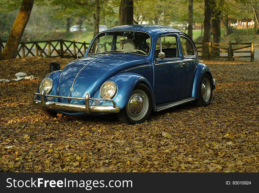 Blue VW Beetle In The Park On Autumn Leaves