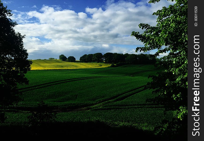 Green country fields and meadows under sunny blue skies in Germany. Green country fields and meadows under sunny blue skies in Germany.