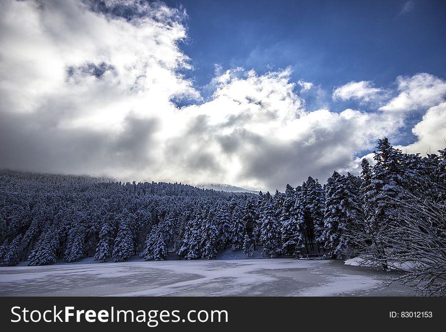 Scenic view of cloudscape over frozen forest in winter. Scenic view of cloudscape over frozen forest in winter.