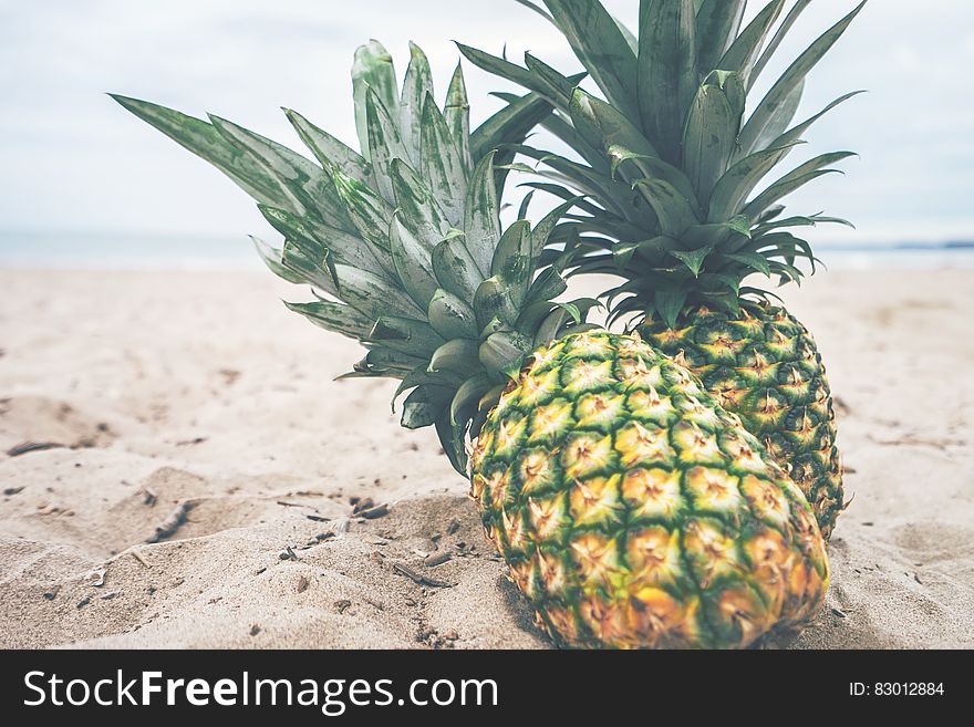 Ripe pineapples on a beach .