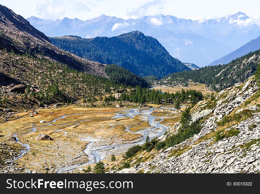 Green Trees On Mountain During Daytime