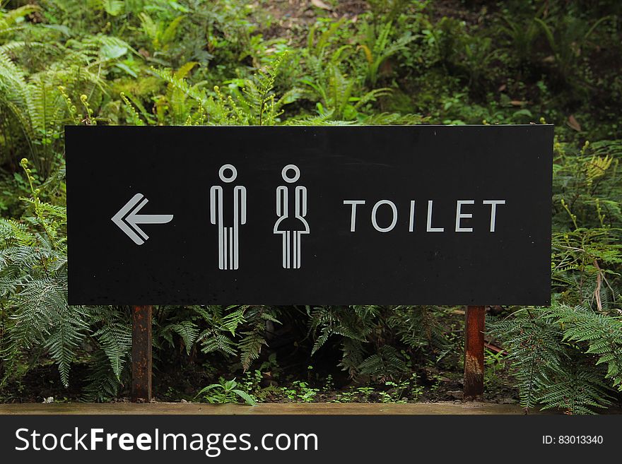 Toilet Signage Beside Green Leaf