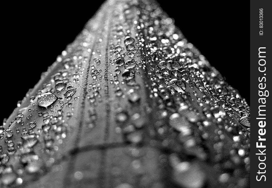Water Droplets Macro Photograply