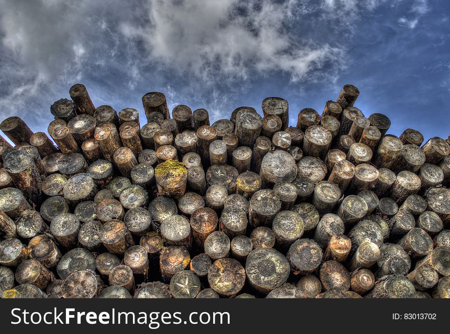 Pile of cut logs against blue skies on sunny day.