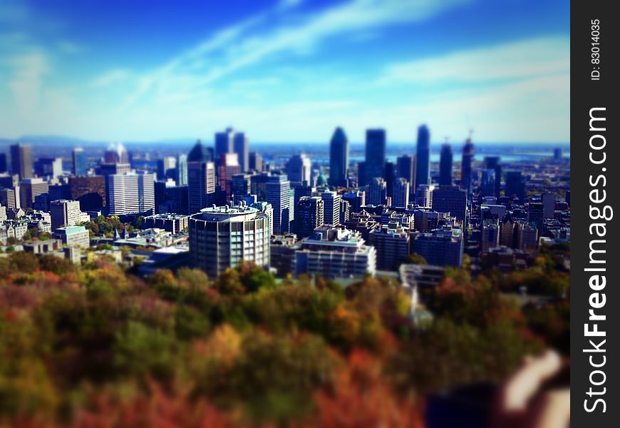 Skyline of modern city over treetops with fall foliage on sunny day. Skyline of modern city over treetops with fall foliage on sunny day.