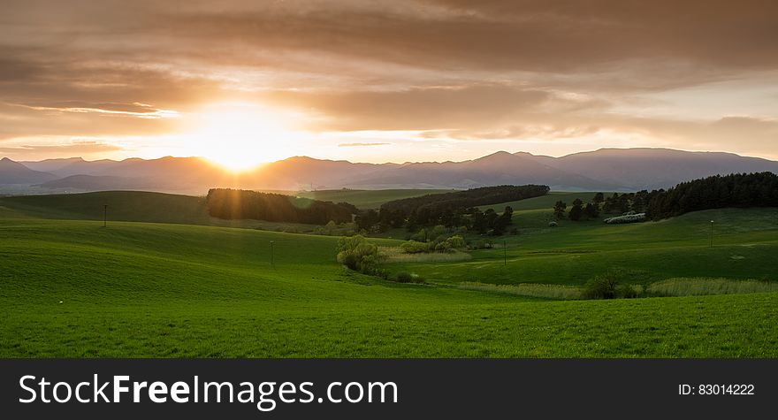 Green Grass Field During Sunset