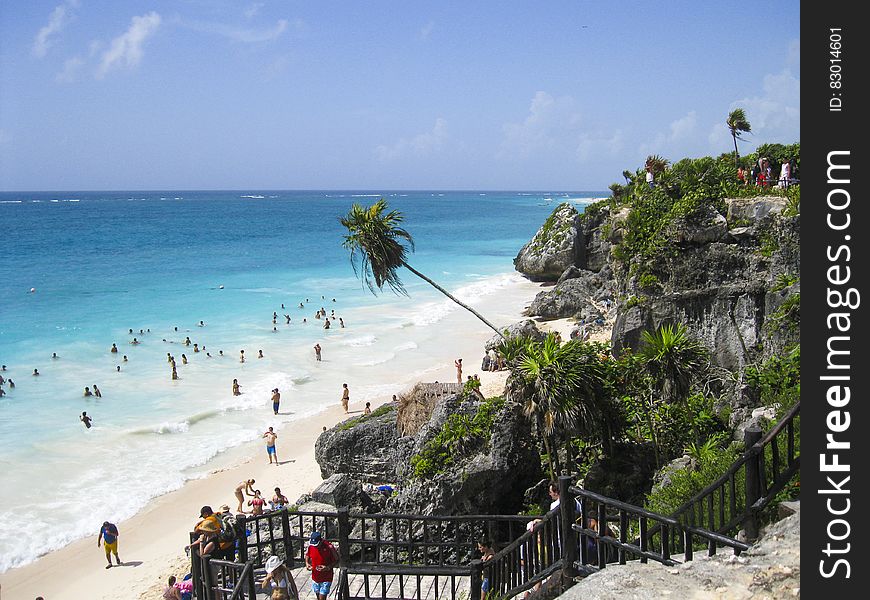 People On Cliff With Grass Trees Watching People On Sea Shore Swimming Walking Under Blue Clouds During Daytime