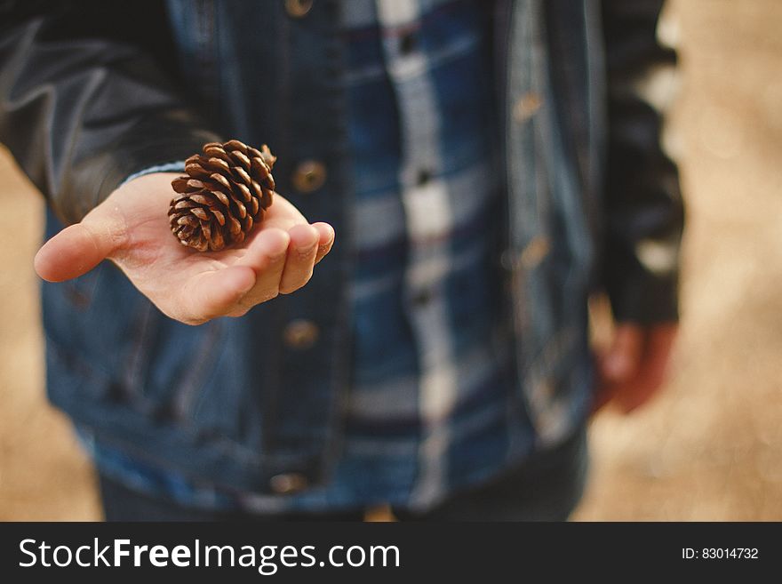 A man holding a pine cone in his hand. A man holding a pine cone in his hand.