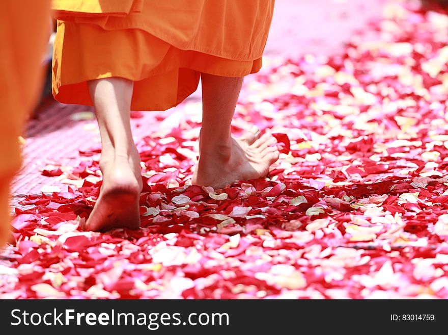 Person Wearing Orange Dress Walking On Petals During Daytime