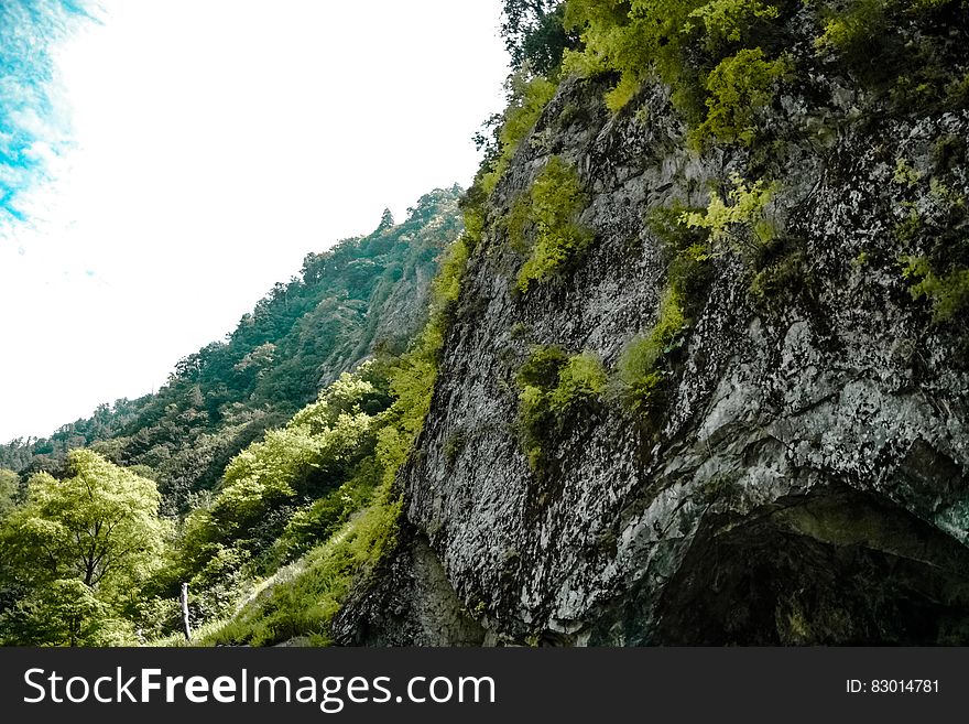 Low Angle Photography of Gray Mountain Side Covered With Green Leaves Under White Sky at Daytime