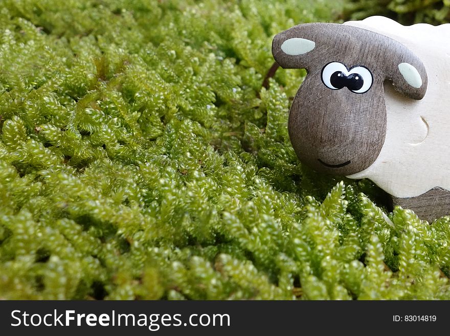 Brown and Gray Sheep to on Green Grass Field Toy