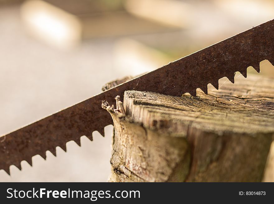 Close up of saw blade in piece of wood. Close up of saw blade in piece of wood.