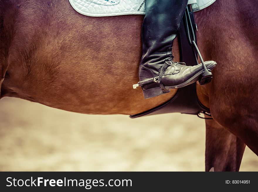 Person Riding Brown Horse Put His Feet on Horse Saddle