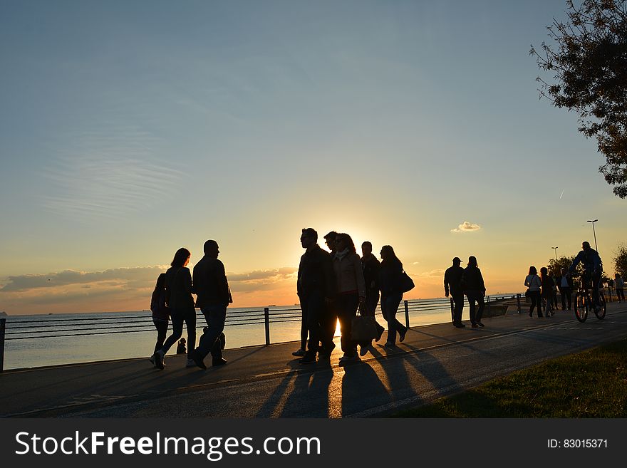 Silhouette of People Near Seashore during Sunset