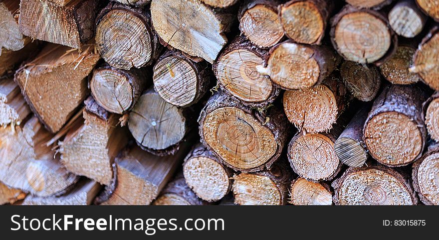 Pile of cut logs on sunny day. Pile of cut logs on sunny day.