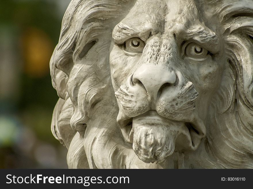 Close up of stone lion face statue on sunny day.