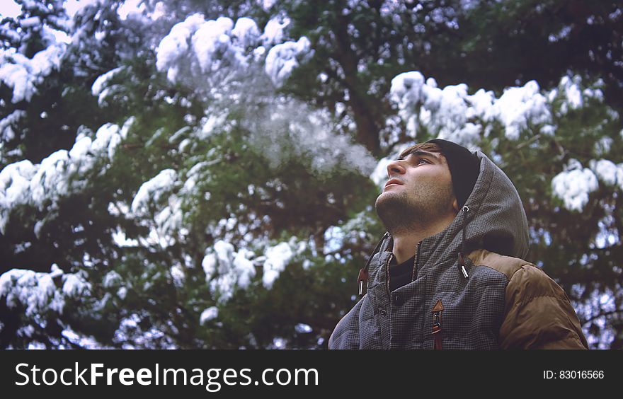 Young Man Looking Up In Forest