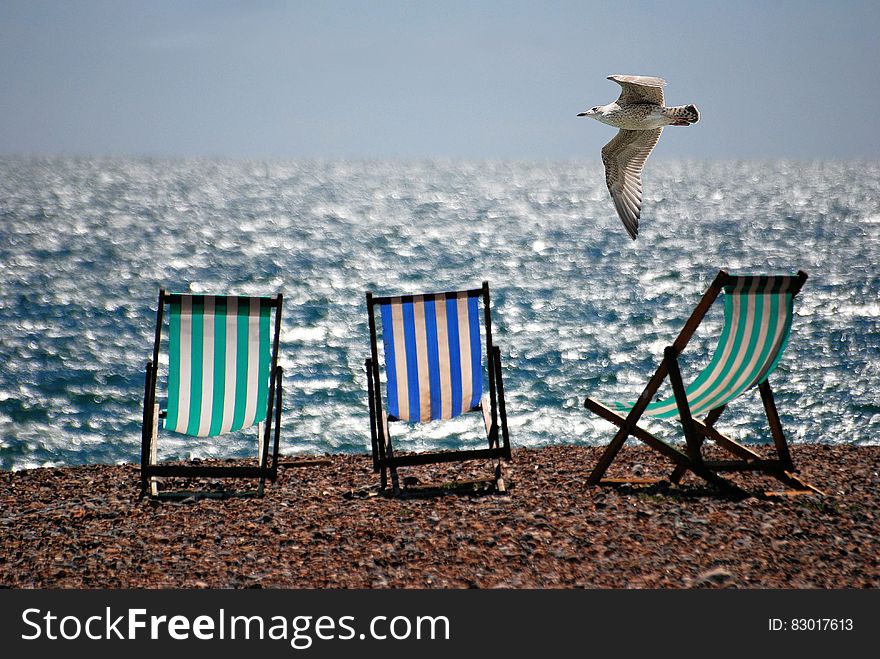 3 Green and Blue Beach Chairs on Brown Sea Shore